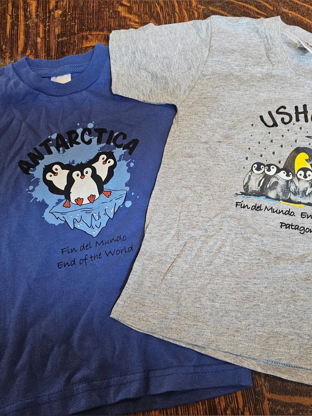 Boys Penguin Graphic Tee in Blue and Gray